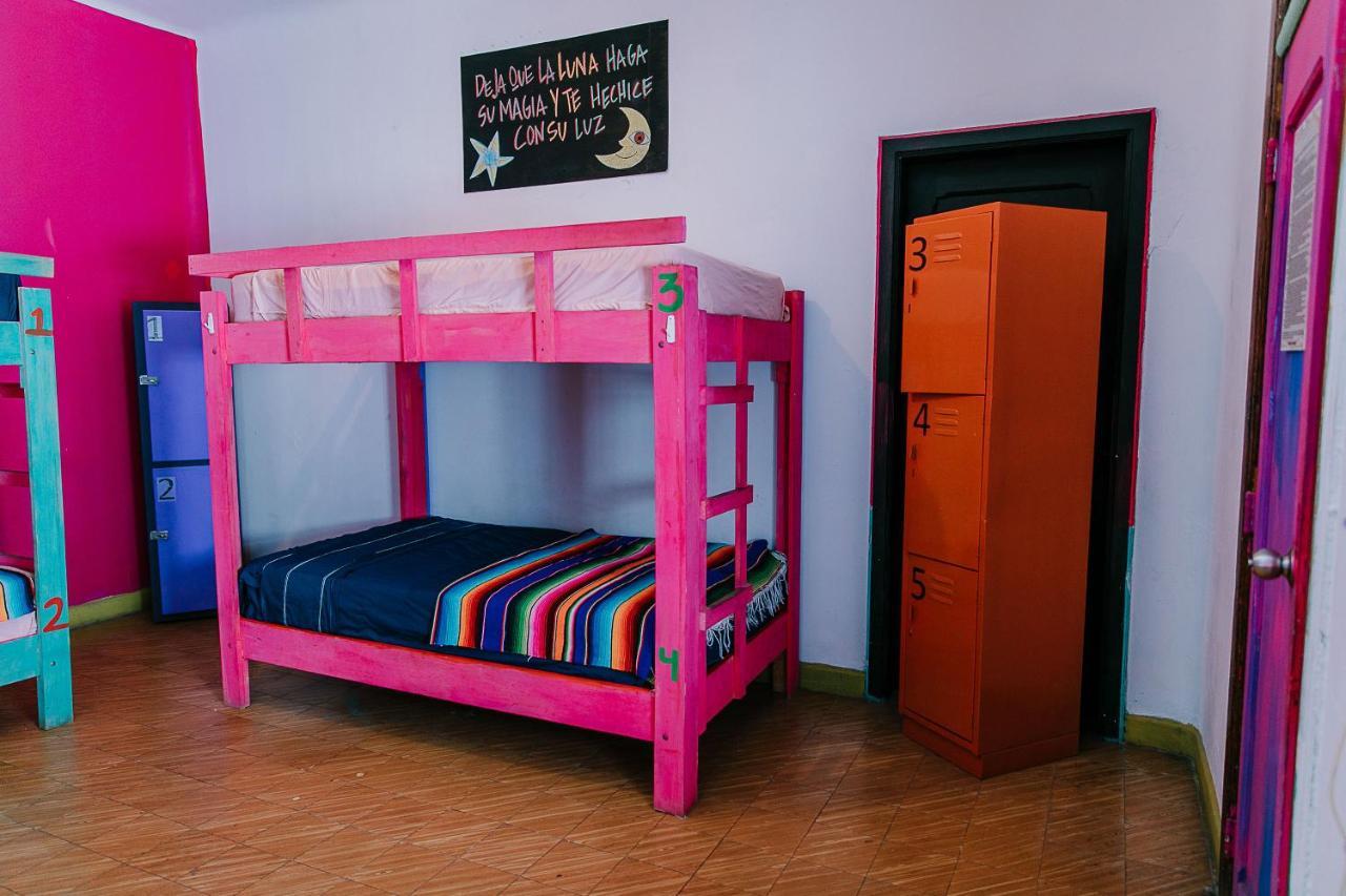 Hostal Chesal San Luis Potosí Extérieur photo