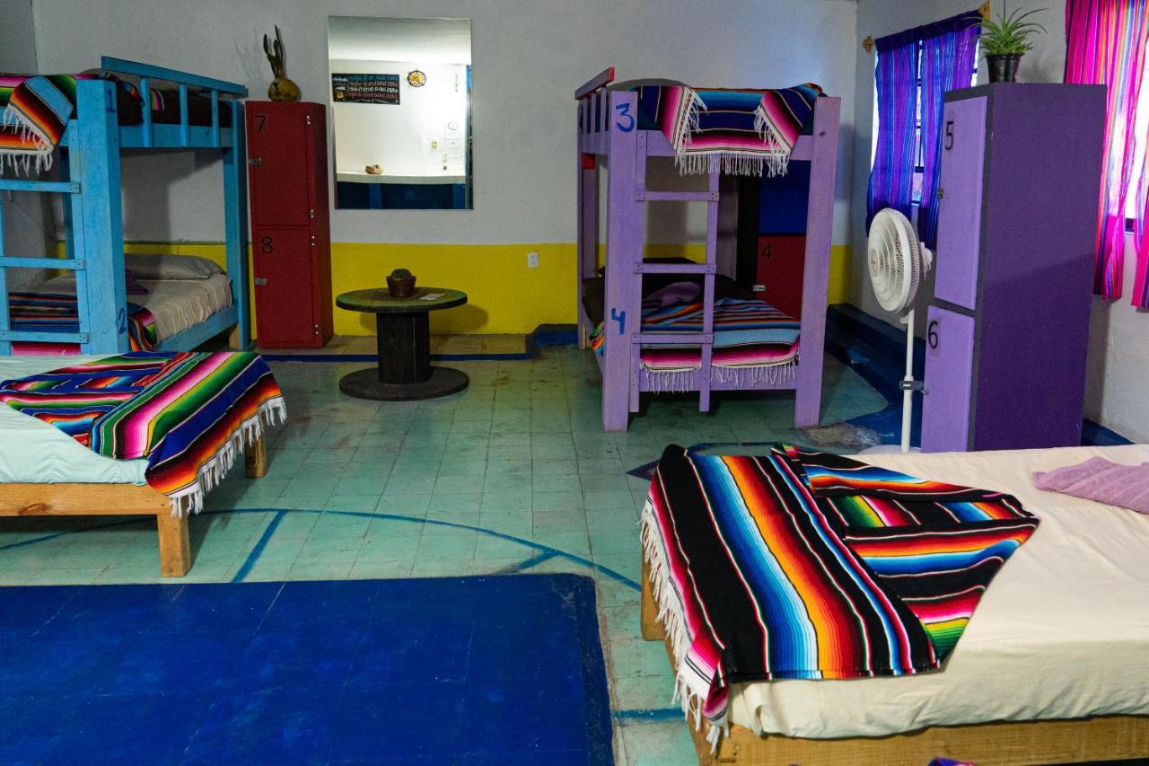 Hostal Chesal San Luis Potosí Extérieur photo