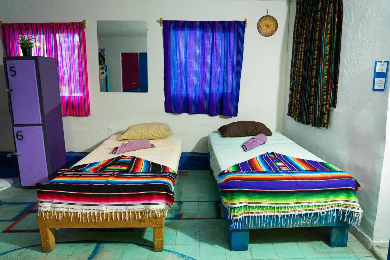 Hostal Chesal San Luis Potosí Extérieur photo